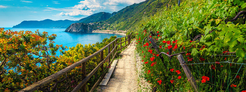 Et billede, der indeholder udend�rs, landskab, blomst, skyAutomatisk genereret beskrivelse